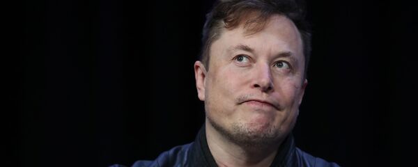 Глава компании Tesla Илон Маск - 俄罗斯卫星通讯社