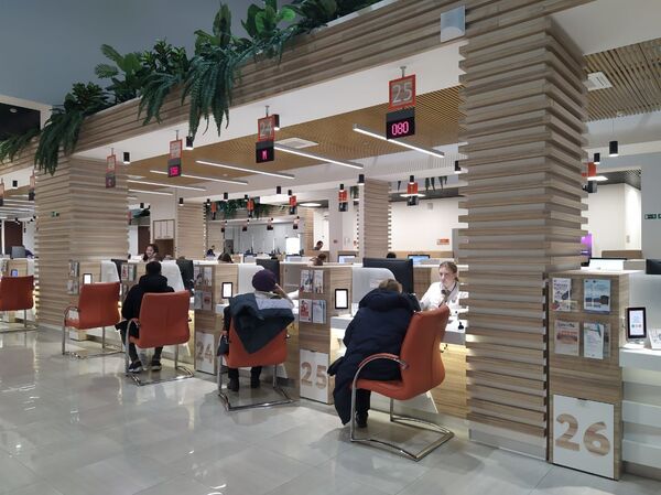 «你好，俄罗斯»节目：电子国家服务使生活更加方便 - 俄罗斯卫星通讯社