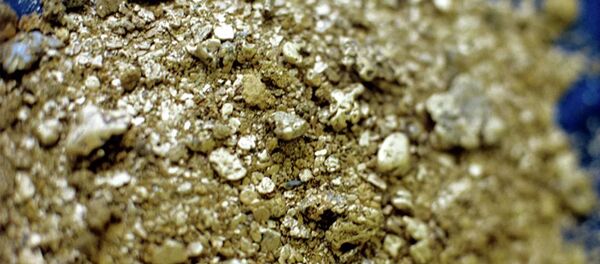 Золото - 俄罗斯卫星通讯社