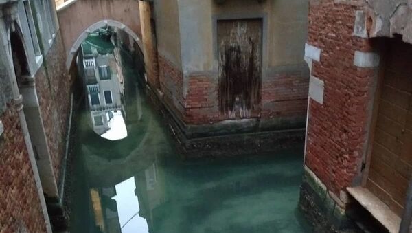 威尼斯水道因隔离变得干净许多 - 俄罗斯卫星通讯社