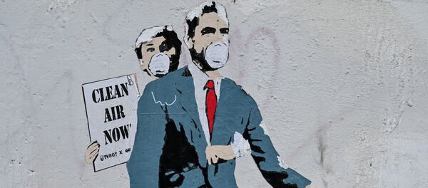 疫情下的艺术：各国新冠主题涂鸦 - 俄罗斯卫星通讯社