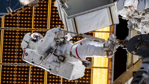 Астронавт НАСА Меир Джессика во время выхода в открытый космос  - 俄羅斯衛星通訊社