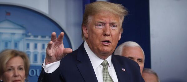 Дональд Трамп на брифинге по коронавирусу - 俄羅斯衛星通訊社
