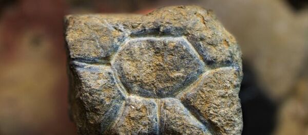 印尼蘇拉威西島上發現2萬6千年前文物 印尼蘇拉威西島上發現2萬6千年前文物 - 俄羅斯衛星通訊社