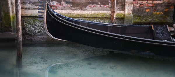 隔離使得威尼斯河水變得乾淨透明 - 俄羅斯衛星通訊社