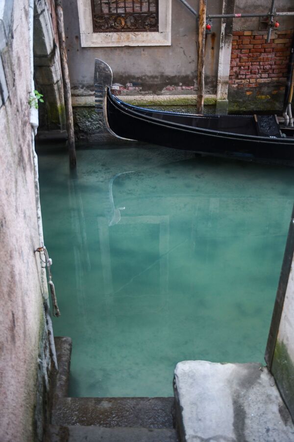 隔离使得威尼斯河水变得干净透明 - 俄罗斯卫星通讯社