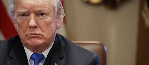 Президент США Донадьд Трамп - 俄罗斯卫星通讯社