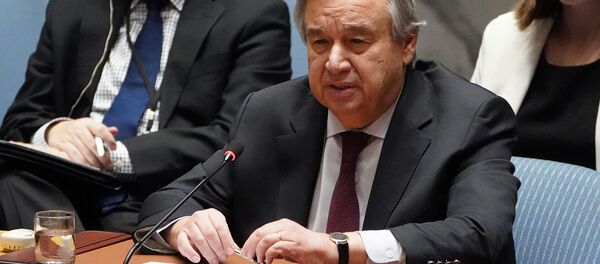 联合国秘书长、阿富汗和伊朗等国领导人计划出席上合组织圣彼得堡峰会 - 俄罗斯卫星通讯社