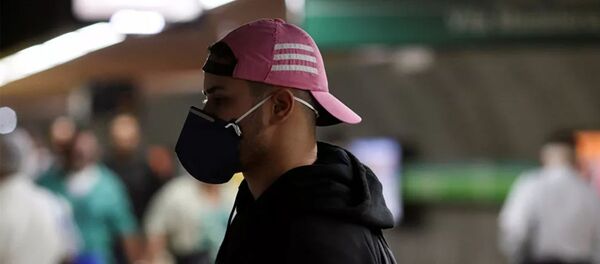 巴西受新冠疫情影响对所有外国公民关闭空中边界30天 - 俄罗斯卫星通讯社