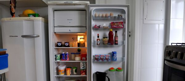 報告：是職業女性、冰箱和微波爐引發了塑料熱潮 - 俄羅斯衛星通訊社