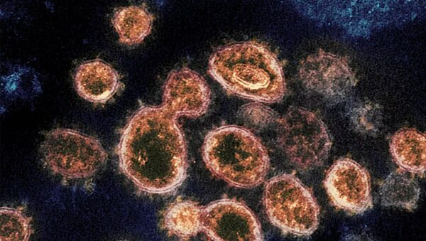 Новый коронавирус SARS-CoV-2, вызывающий Covid-2019  - 俄罗斯卫星通讯社