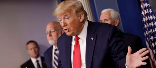 Президент США Дональд Трамп во время пресс-конференции в Вашингтоне, США - 俄罗斯卫星通讯社