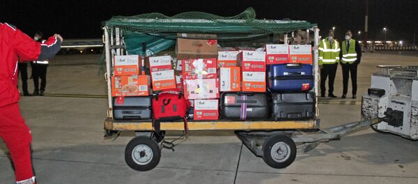 歐盟高級官員：歐盟歡迎俄中等國的所有防疫援助 - 俄羅斯衛星通訊社