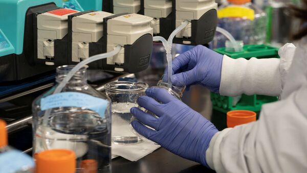 Ученый проводит исследование вакцины против нового коронавируса, Калифорния - 俄罗斯卫星通讯社
