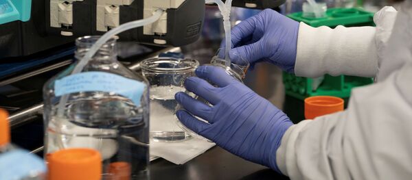 Ученый проводит исследование вакцины против нового коронавируса, Калифорния Ученый проводит исследование вакцины против нового коронавируса, Калифорния - 俄罗斯卫星通讯社