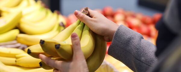 Бананы - 俄羅斯衛星通訊社