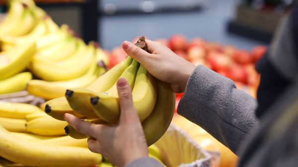 厄瓜多尔香蕉生产者因乌克兰局势要求政府提供支持 - 俄罗斯卫星通讯社
