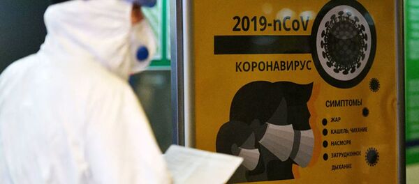 Информационный стенд в аэропорту Внуково - 俄罗斯卫星通讯社