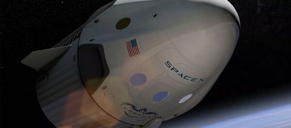 Космический корабль Crew Dragon - 俄罗斯卫星通讯社