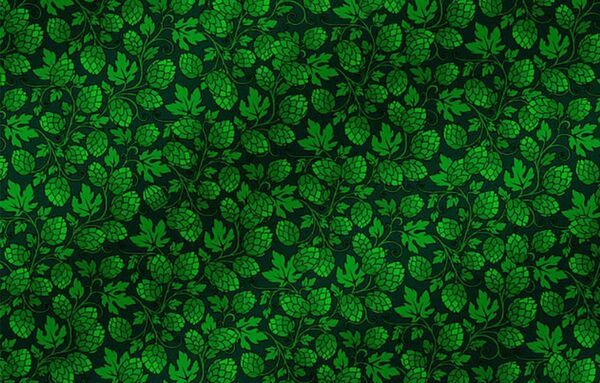 你能找到图片里的啤酒杯吗？ - 俄罗斯卫星通讯社