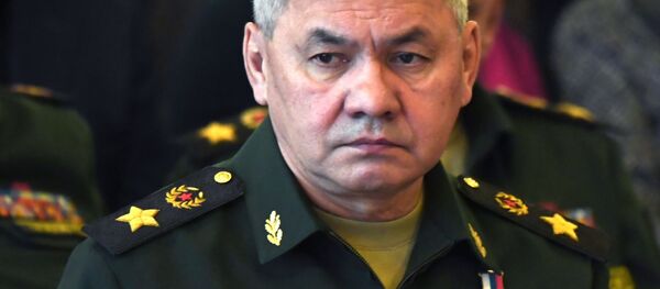 Министр обороны РФ, генерал армии Сергей Шойгу Министр обороны РФ, генерал армии Сергей Шойгу - 俄罗斯卫星通讯社