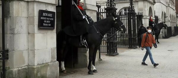 媒體：英國政府將把隔離措施至少延長至5月7日 - 俄羅斯衛星通訊社