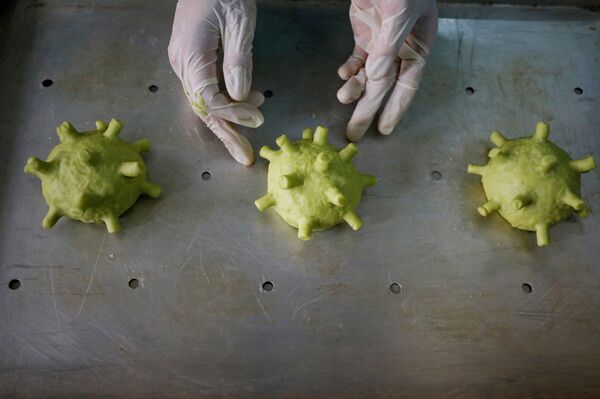 越南惊现“冠状病毒汉堡” - 俄罗斯卫星通讯社