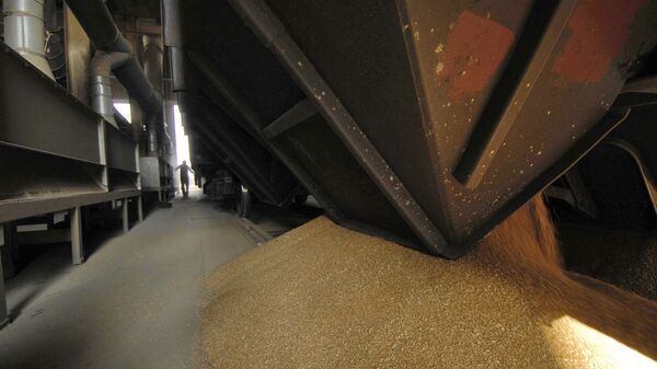 俄政府对小麦等部分粮食作物颁布出口配额 - 俄罗斯卫星通讯社