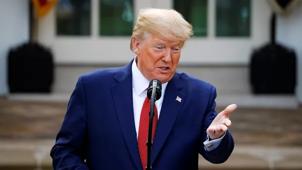 Президент США Дональд Трамп на пресс-конференции у Белого дома  - 俄羅斯衛星通訊社