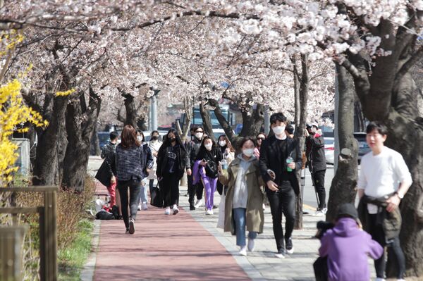 成功还是运气?韩国如何制止住了新冠病毒疫情? 成功还是运气?韩国如何制止住了新冠病毒疫情? - 俄罗斯卫星通讯社