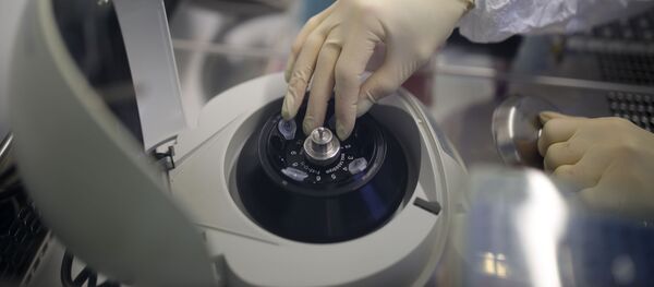 Тест-система на коронавирус в лаборатории Тест-система на коронавирус в лаборатории - 俄罗斯卫星通讯社