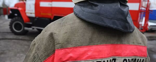 俄中边境大乌苏里岛设立野火消防站 - 俄罗斯卫星通讯社