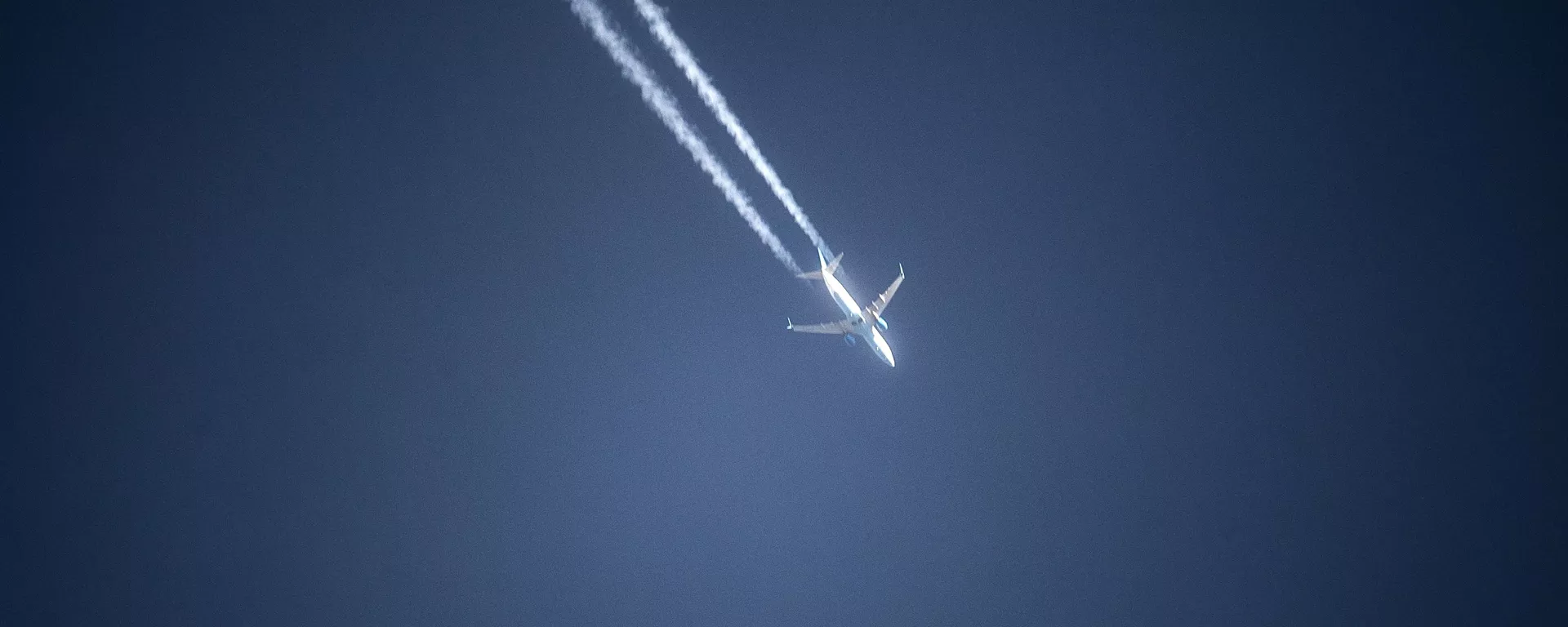 俄一架客機因乘客不適在克拉斯諾達爾市緊急降落 - 俄羅斯衛星通訊社, 1920, 14.01.2022