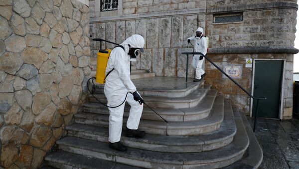 葡萄牙新冠病毒感染病例超过8000例 死亡187例 - 俄罗斯卫星通讯社