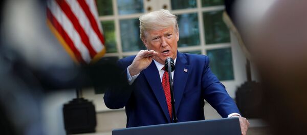 Президент США Дональд Трамп Президент США Дональд Трамп - 俄羅斯衛星通訊社