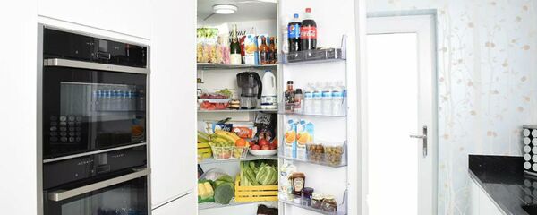 Холодильник Холодильник - 俄羅斯衛星通訊社