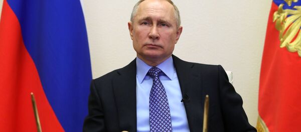 普京总统：一周非工作日为我们取得抗疫主动权赢得了时间 - 俄罗斯卫星通讯社