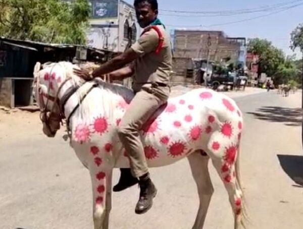 印度警察在马身上画新冠病毒图案警示民众 印度警察在马身上画新冠病毒图案警示民众 - 俄罗斯卫星通讯社
