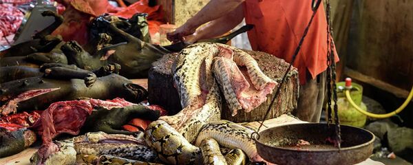 Мясо змеи на традиционном рынке в Индонезии Мясо змеи на традиционном рынке в Индонезии - 俄罗斯卫星通讯社
