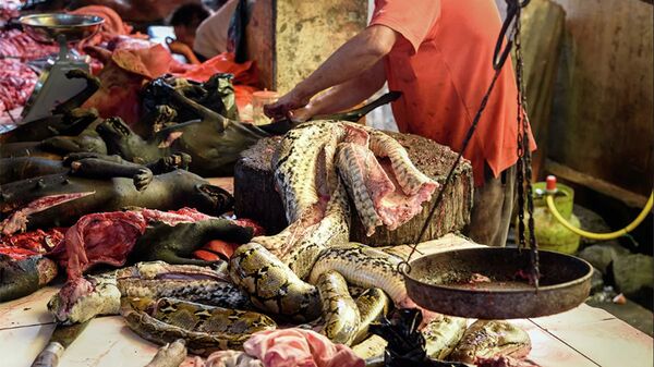 Мясо змеи на традиционном рынке в Индонезии - 俄罗斯卫星通讯社