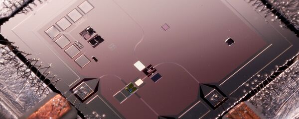 Электронный чип - 俄罗斯卫星通讯社