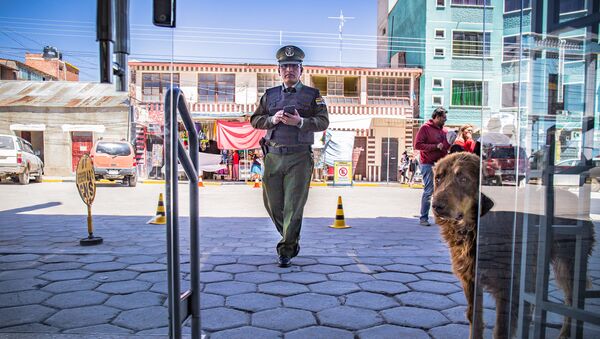 Боливия полицейский собака банк  - 俄羅斯衛星通訊社