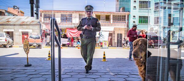 玻利维亚一市长因允许举行群体性庆祝活动被逮捕 玻利维亚一市长因允许举行群体性庆祝活动被逮捕 - 俄罗斯卫星通讯社