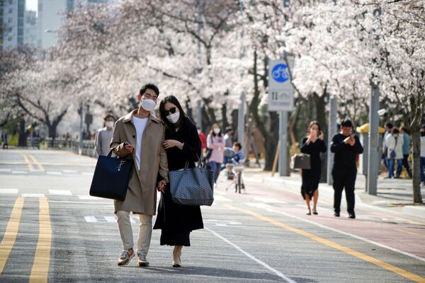 一對戴著醫用口罩的情侶以盛放的櫻花為背景拍照，韓國首爾 


 - 俄羅斯衛星通訊社