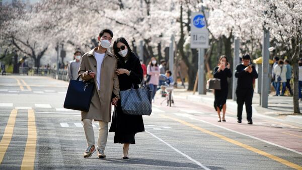 Пара в медицинских масках на фоне цветущей Сакуры на одной из улиц Сеула, Южная Корея - 俄罗斯卫星通讯社