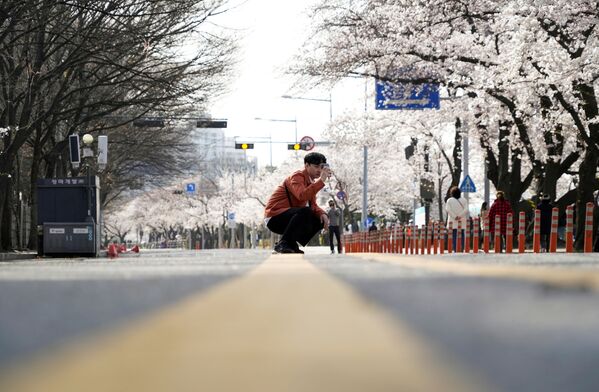 一年輕人在拍櫻花，韓國首爾 

 - 俄羅斯衛星通訊社