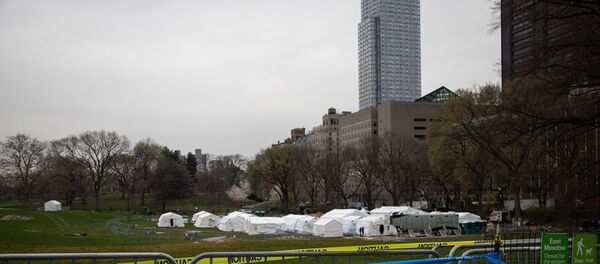 госпиталь - 俄罗斯卫星通讯社