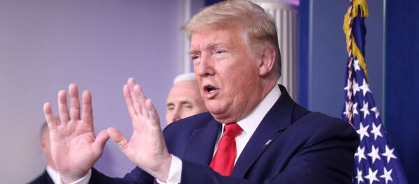 Президент США Дональд Трамп на брифинге в Белом доме  - 俄罗斯卫星通讯社