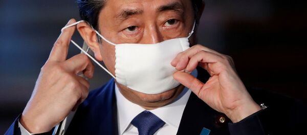 媒体：日本首相将不去莫斯科参加6月24日的胜利阅兵 - 俄罗斯卫星通讯社