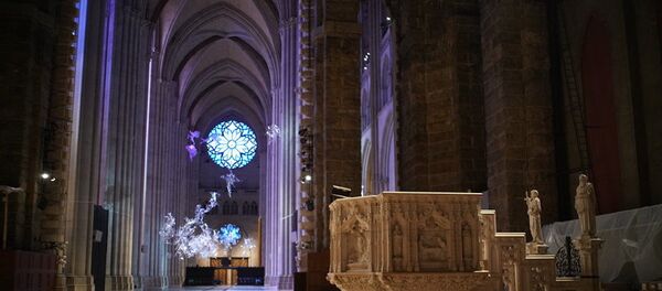 纽约最大哥特式教堂将用作医院 收治新冠肺炎患者 - 俄罗斯卫星通讯社